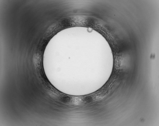 X0000103500701200810031628