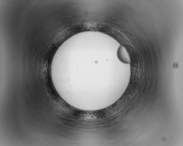 X0000103500702200810031628