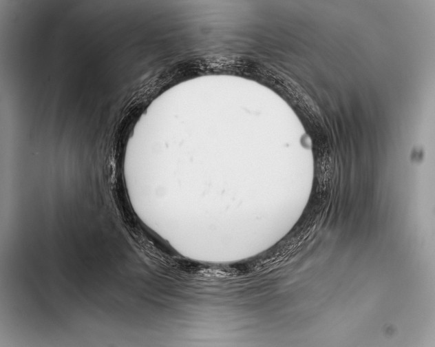 X0000103500703200810031628