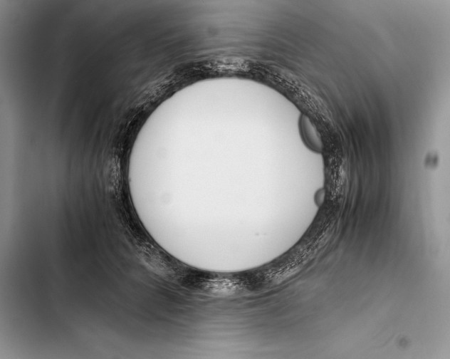 X0000103500704200810031628