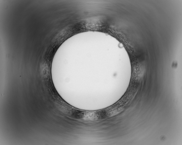 X0000103500705200810031628