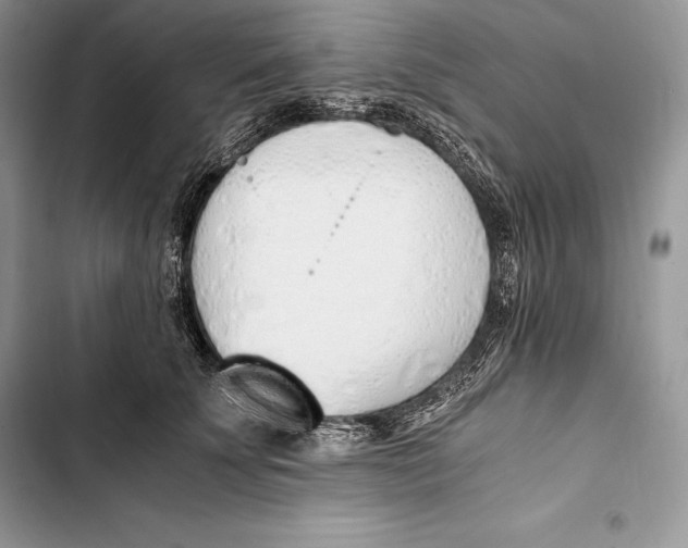 X0000103500707200810031628