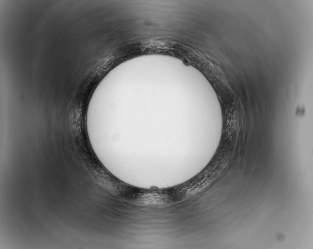 X0000103500708200810031628