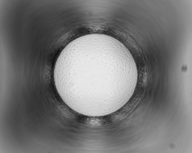 X0000103500710200810031628