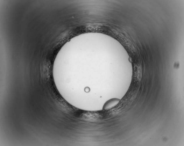 X0000103500712200810031628