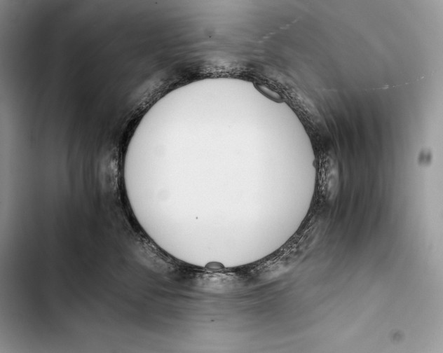 X0000103500716200810031628