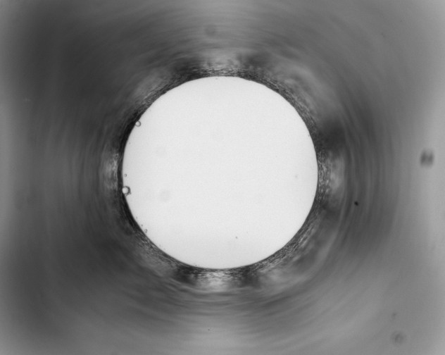 X0000103500717200810031628