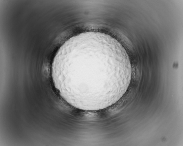 X0000103500718200810031628