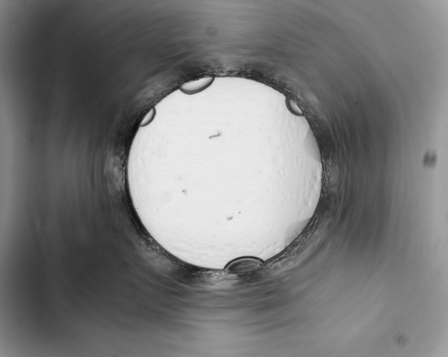 X0000103500719200810031628