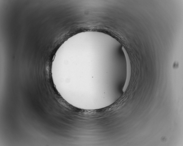 X0000103500720200810031628