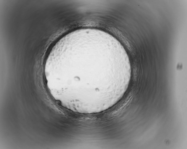 X0000103500721200810031627