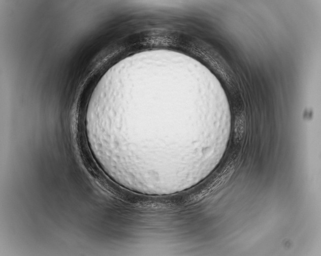 X0000103500722200810031627