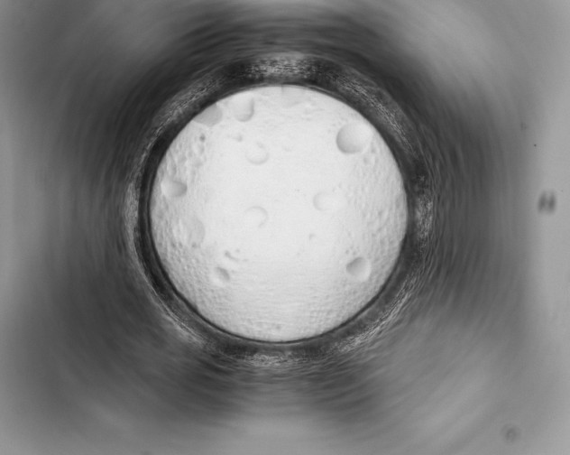 X0000103500725200810031627