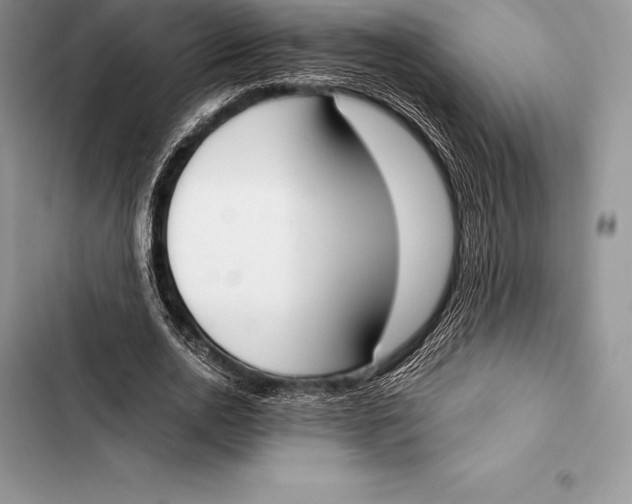 X0000103500726200810031627