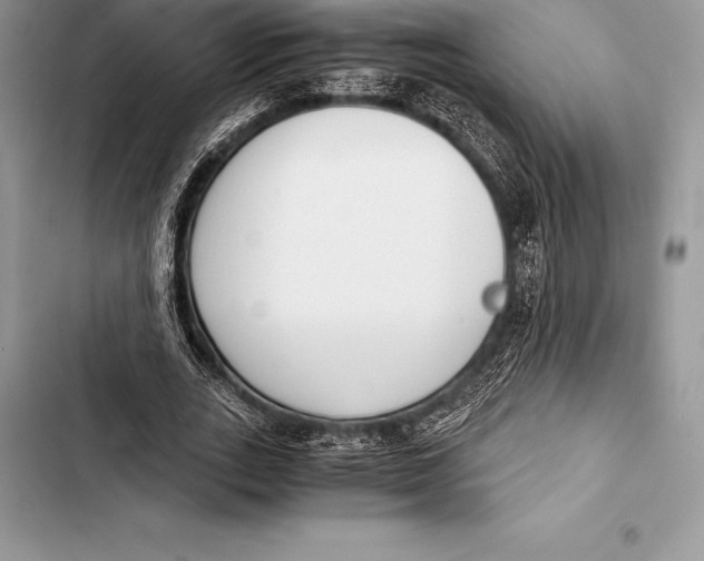 X0000103500727200810031627