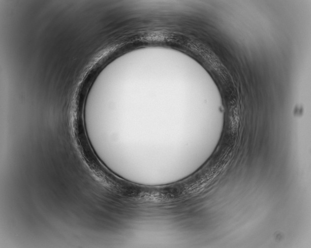 X0000103500728200810031627