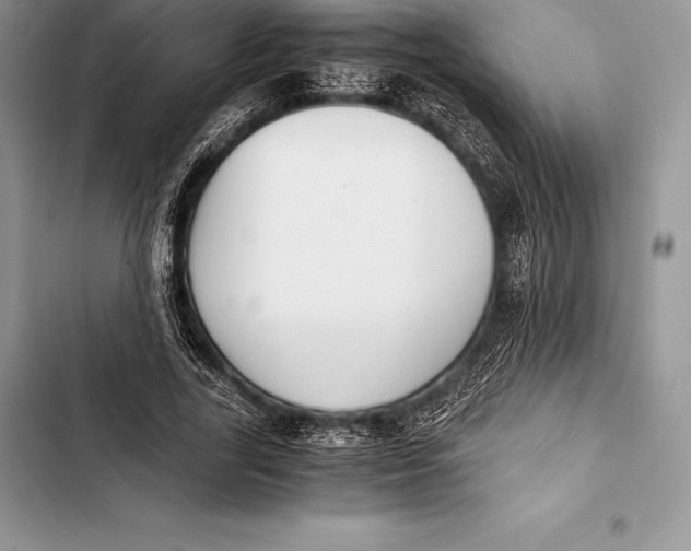 X0000103500731200810031627