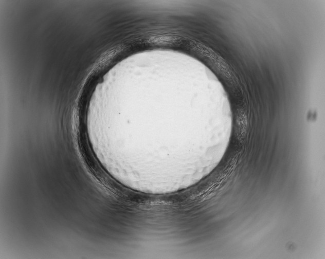 X0000103500734200810031627