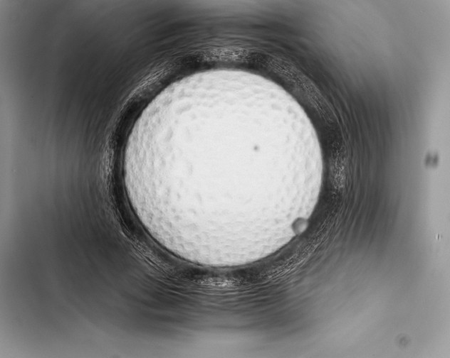 X0000103500735200810031627