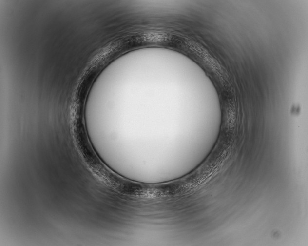 X0000103500736200810031628