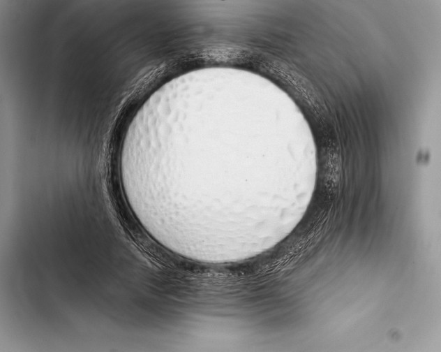 X0000103500738200810031628