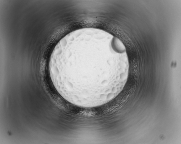 X0000103500742200810031628