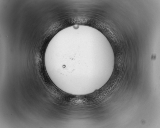 X0000103500743200810031628