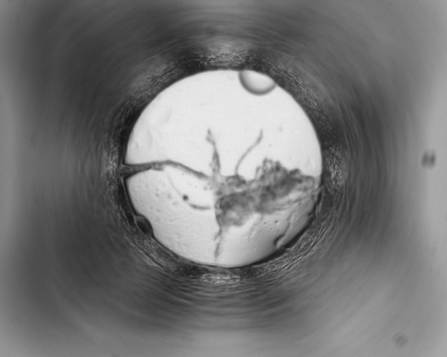 X0000103500745200810031628