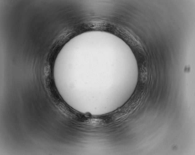 X0000103500748200810031628