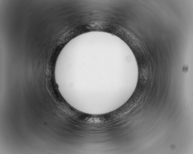 X0000103500751200810031628