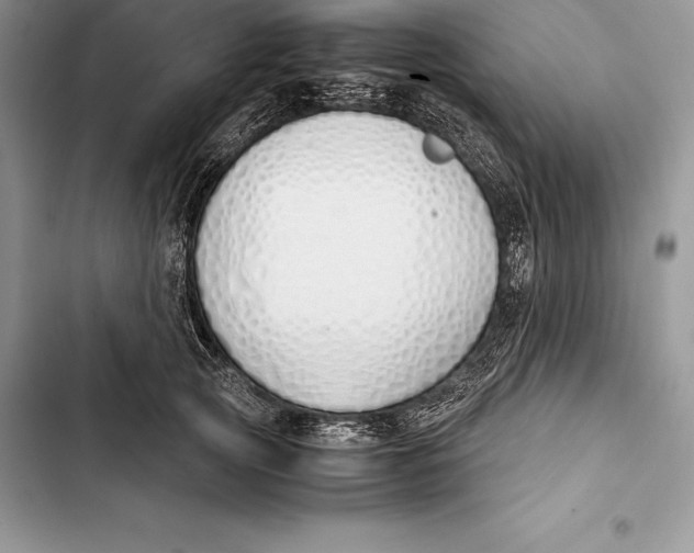 X0000103500753200810031628