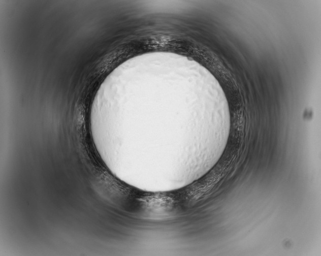 X0000103500754200810031628