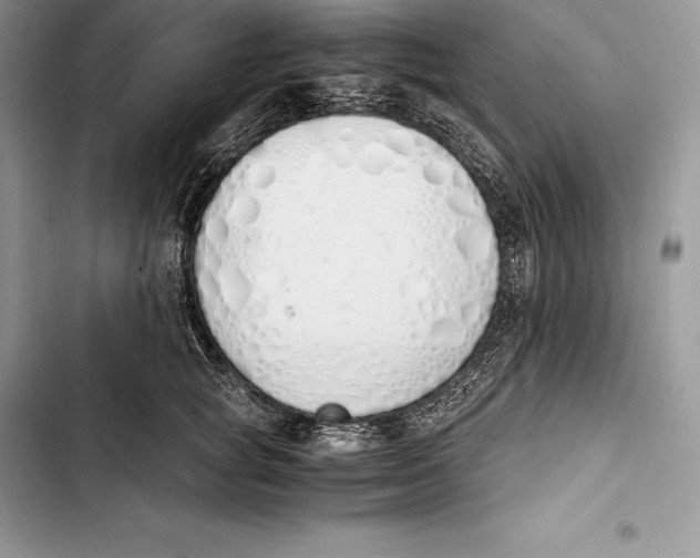 X0000103500757200810031628