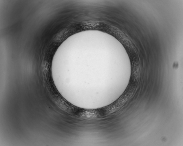 X0000103500758200810031628