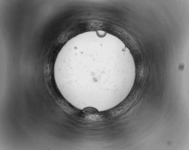 X0000103500759200810031628