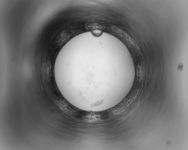 X0000103500760200810031628