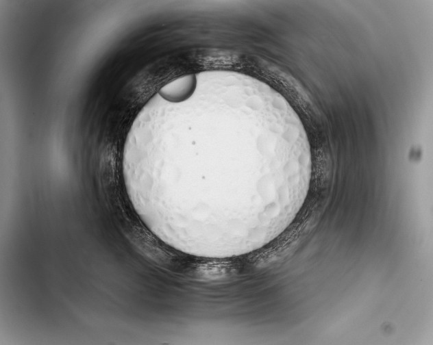 X0000103500761200810031628