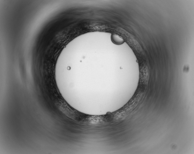 X0000103500762200810031628