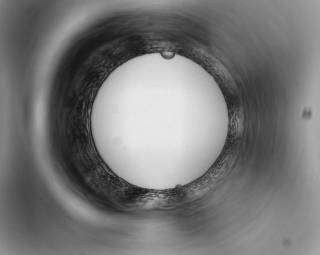 X0000103500764200810031628