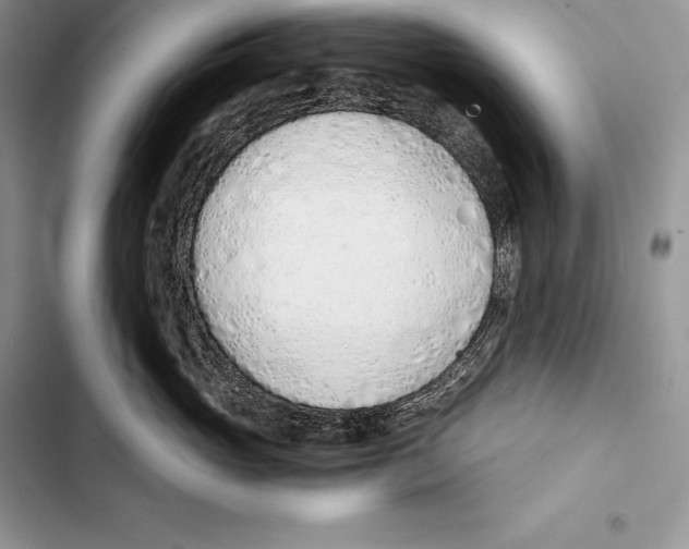 X0000103500765200810031628