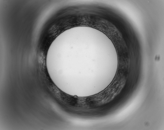 X0000103500766200810031628