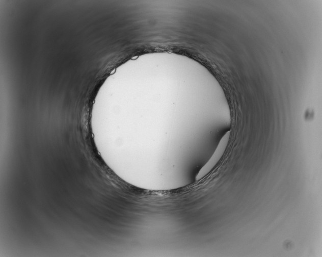 X0000103500768200810031628