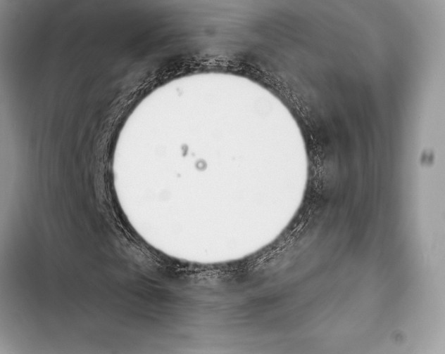 X0000103500769200810031627