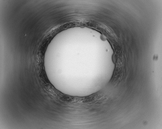 X0000103500773200810031627