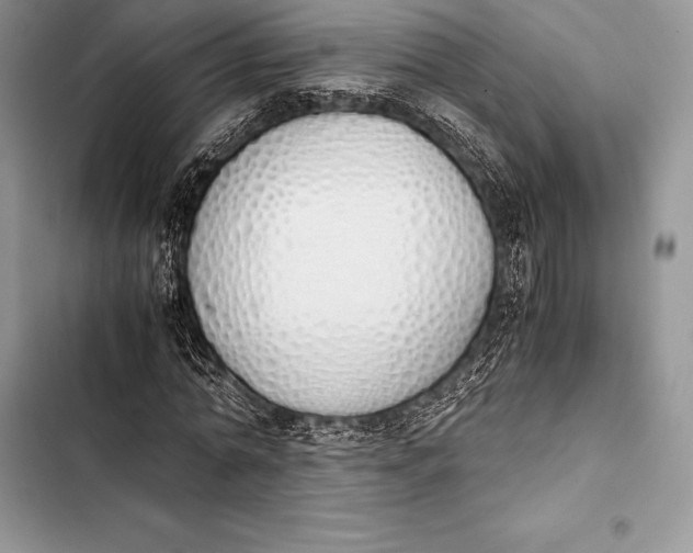 X0000103500774200810031627