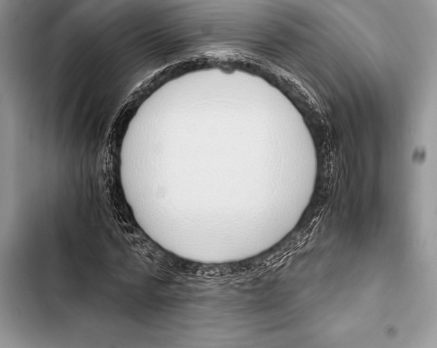 X0000103500776200810031627