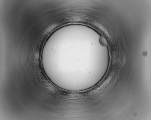 X0000103500777200810031627