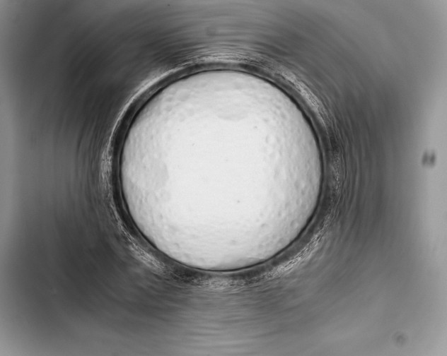 X0000103500779200810031627