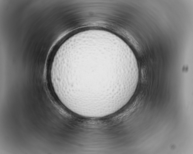 X0000103500780200810031627