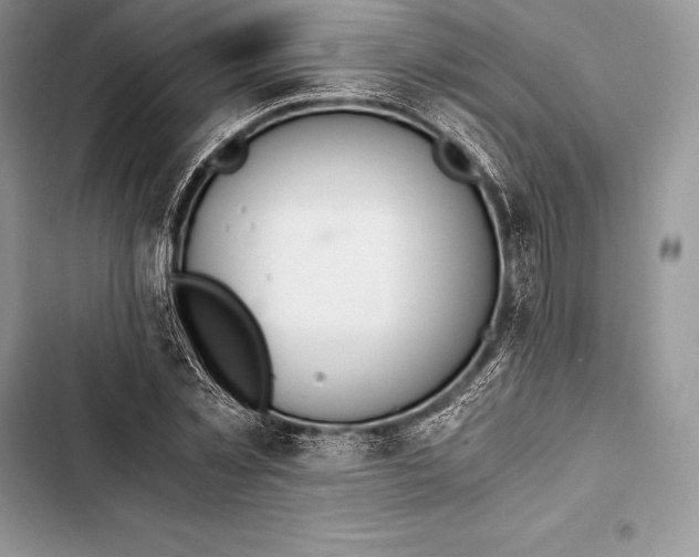 X0000103500781200810031627